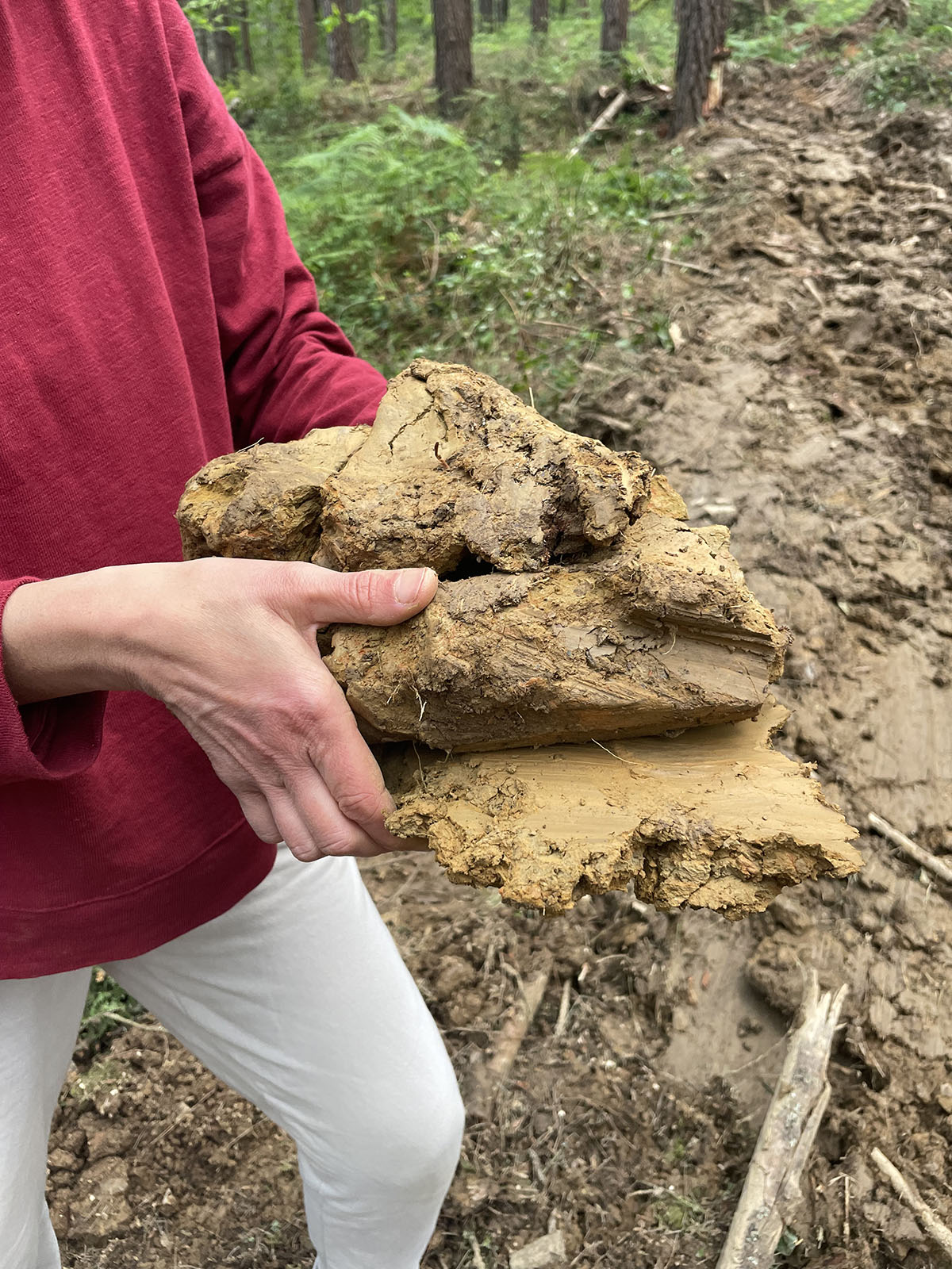 Taller de cerámica con nuestro propio barro