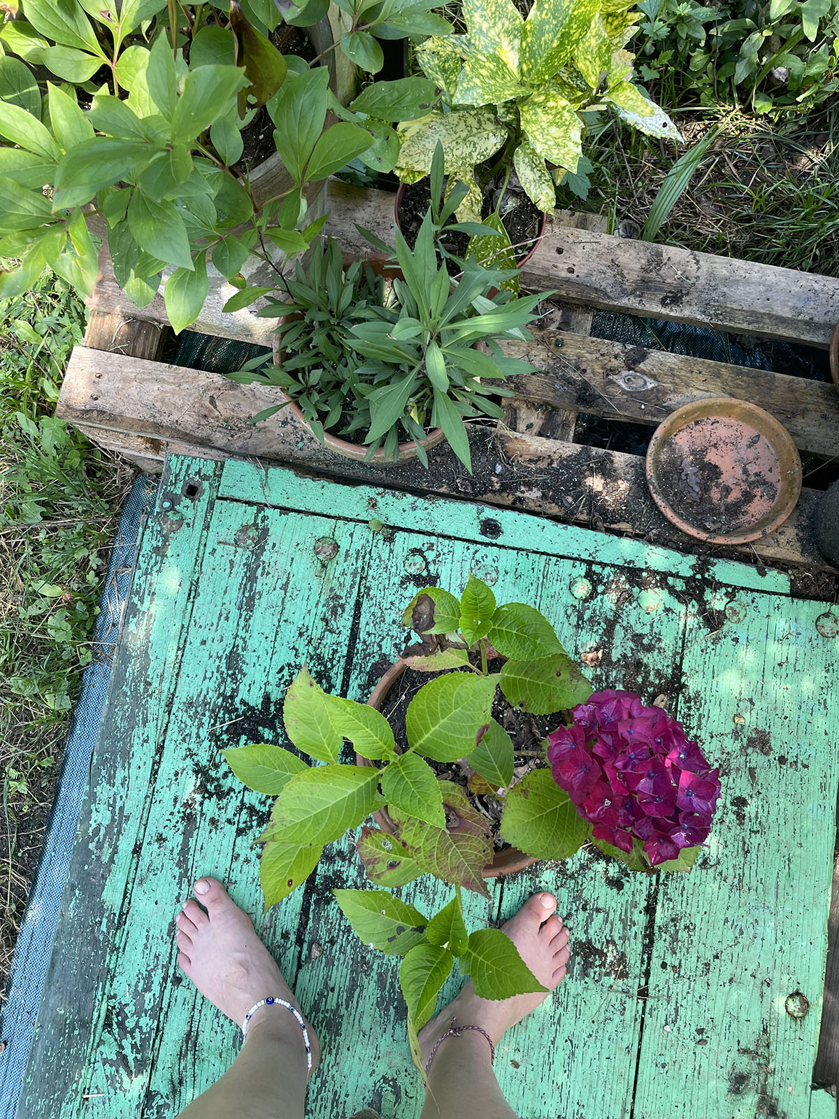 Taller de cerámica con plantas tintóreas