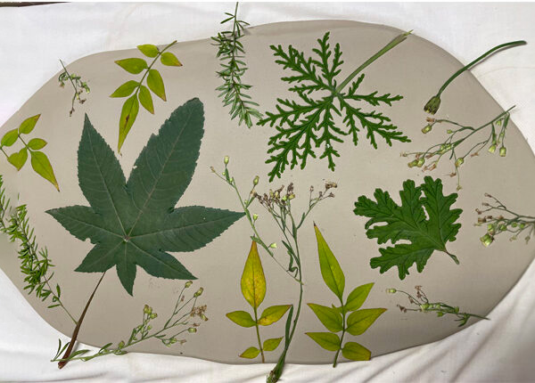 Materiales naturales